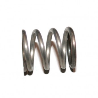 Valve closing spring